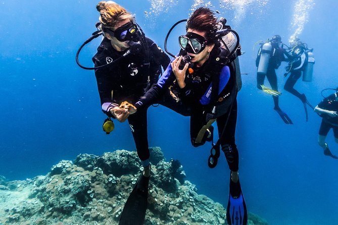 Open Water Course in Nusa Lembongan - Get Certified on remote island (next Bali) - The instructors and teaching style