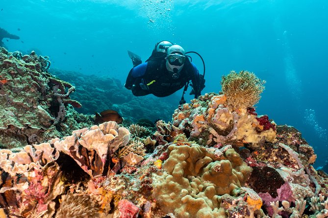 Open Water Course in Pemuteran - Get Certified in Bali - Should you book the Pemuteran SSI course?