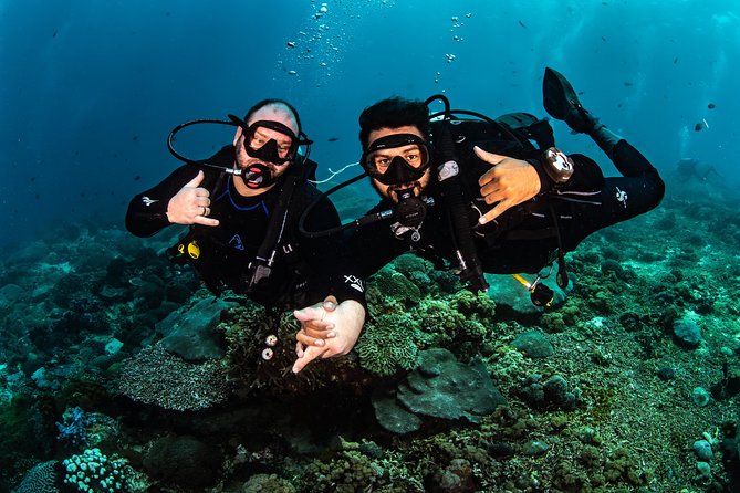 Open Water Course in Tulamben - Get Certified in Bali - Transfers, accommodation, and the two-day pace
