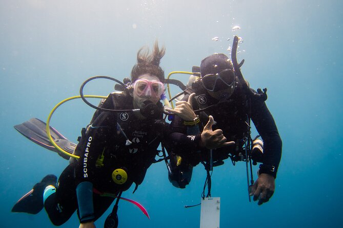 PADI Open water Course in Lembongan - Get certified & dive anywhere in the world - Day one: online theory and a controlled-water start