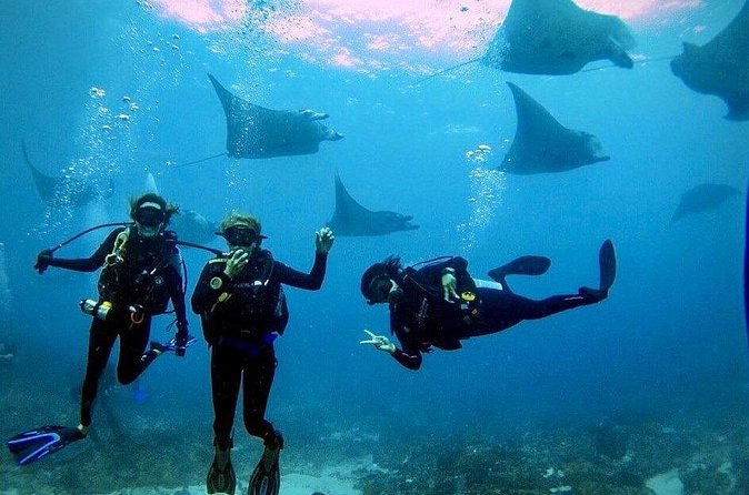 PADI Open water Course in Lembongan - Get certified & dive anywhere in the world - The instructors and the value of close supervision