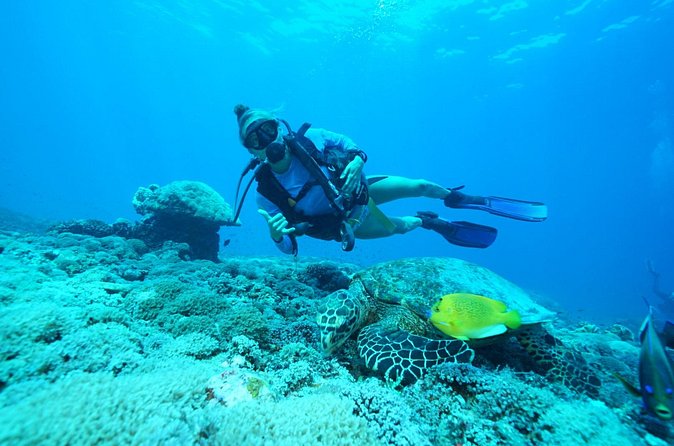 PADI Open water Course in Lembongan - Get certified & dive anywhere in the world - What the certification allows you to do