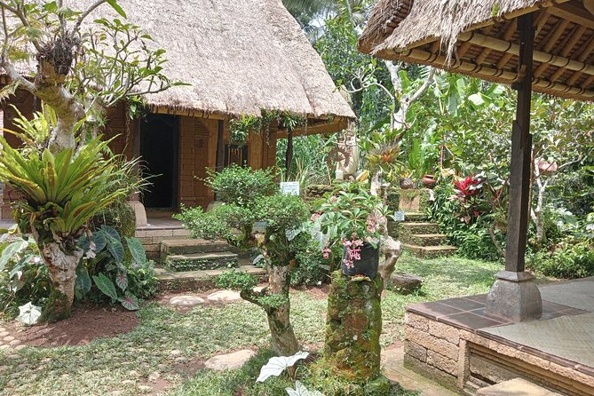 Penglipuran Village Waterfall Swing Private Guided Tour - Why this private Bali day works
