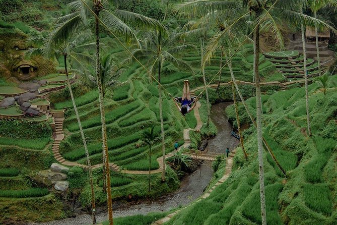 Private 4-Day Tours - Best Bali Tours Package - Best of Bali Highlights - Should you book Best of Bali Highlights?