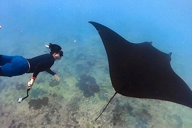 Private All Inclusive Nusa Penida Snorkeling and Tour - Why the 6:00 am start matters