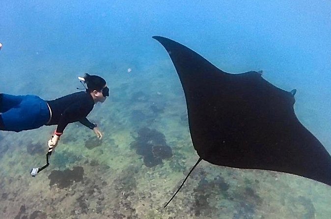 Private All Inclusive Nusa Penida Snorkeling and Tour - Three hours at Manta Point
