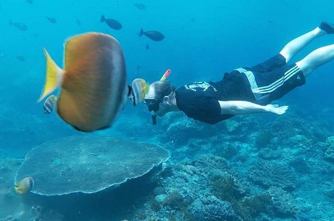 Private All Inclusive Nusa Penida Snorkeling and Tour - Crystal Bay, Angel’s Billabong, and a route detail to clarify