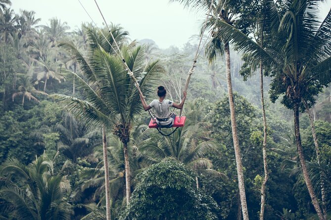 Private Bali Car Charter with Driver up to 6 People - South Bali: GWK, beaches, and Uluwatu