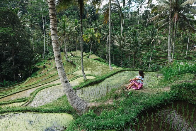 Private Bali Car Charter with Driver up to 6 People - Ubud and east Bali: temples, water, and rice terraces