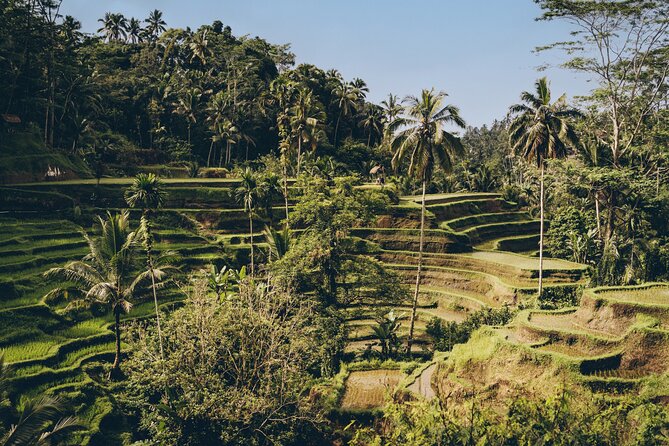 Private Bali Custom Tour – Full Day with English-Speaking Driver - A private Bali day built around your interests