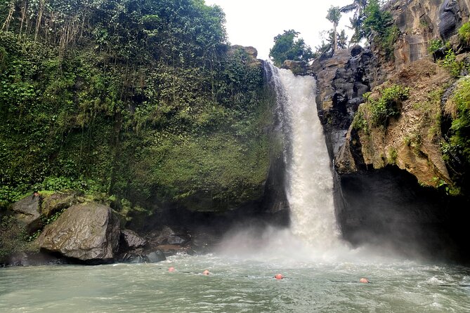Private Bali Custom Tour – Full Day with English-Speaking Driver - Tegallalang and the quieter rice fields