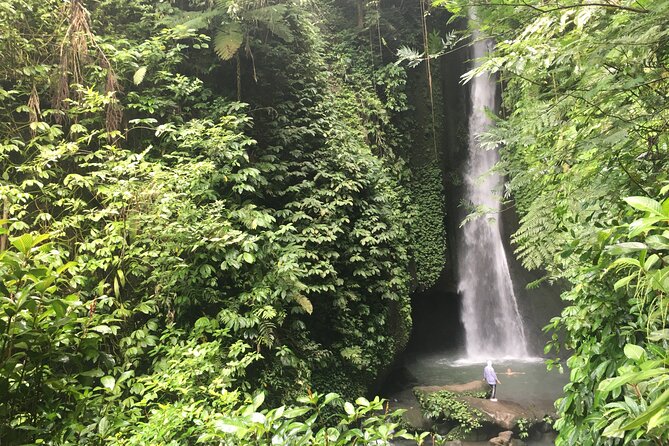 Private Bali Custom Tour – Full Day with English-Speaking Driver - Villages, forests, and wildlife