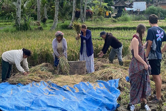 Private Bali Custom Tour – Full Day with English-Speaking Driver - East Bali: water palaces, beaches, and long drives
