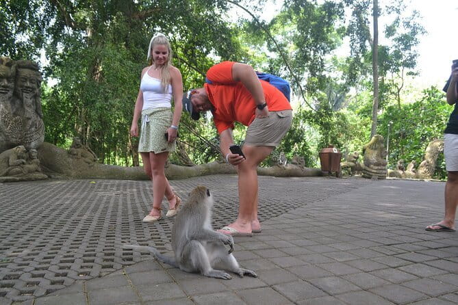 Private Bali Customized Tours - Tanah Lot and Bali’s offshore temple icon