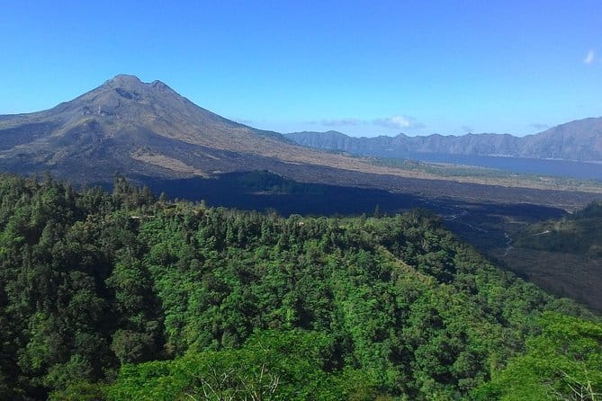 Private Bali Customized Tours - What the $65 group price really gives you