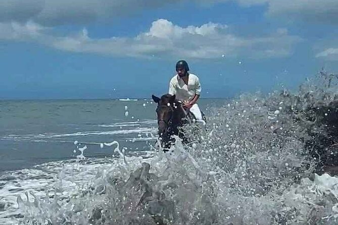 Private Bali Horse riding at saba beach - Horses, equipment, and animal welfare