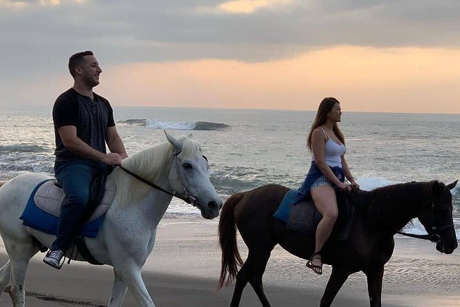 Private Bali Horse Riding In Seminyak Beach - Calm horses for beginners, with important safety questions