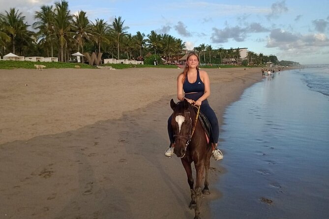 Private Bali Horse Riding In Seminyak Beach - Horse welfare: a point to check with your own eyes