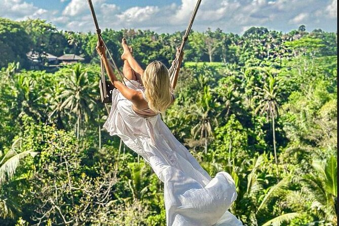 Private Bali Tour - All Inclusive - Sacred Monkey Forest: one hour among macaques