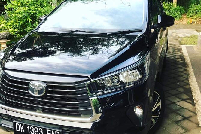 Private Car Charter in Bali with an English-speaking Driver - Ubud Traditional Art Market and inland stops