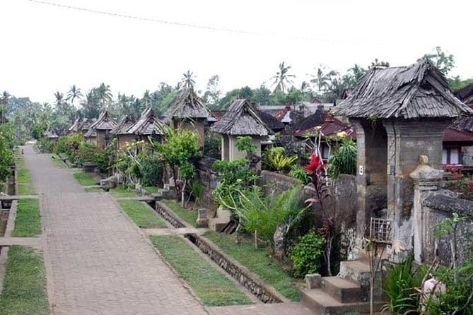Private Chartered Car to Bali Temples With Besakih Temple - Tirta Empul and the choice to take part in purification