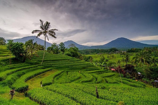 Private Chartered Car to Bali Temples With Besakih Temple - Flexibility is useful, but confirm the route
