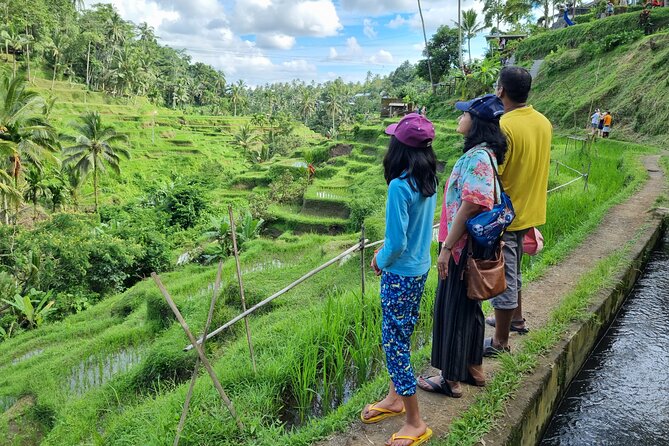Private Customizable Bali Tour Visit with Transfer Included - Beaches, Uluwatu, and a sunset option
