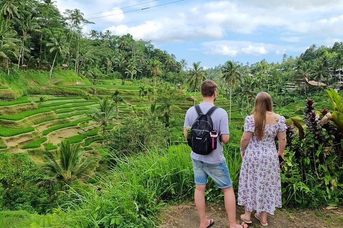 Private Customizable Bali Tour Visit with Transfer Included - How the private vehicle affects your day
