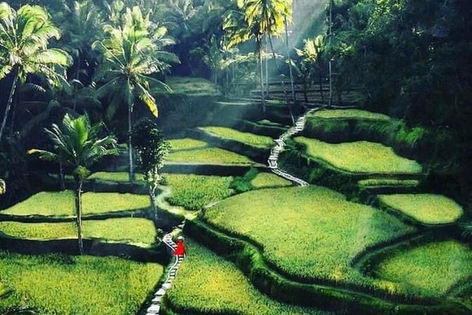 Private Customized Tour with Local Guide - Tegalalang Rice Terrace and the swing question