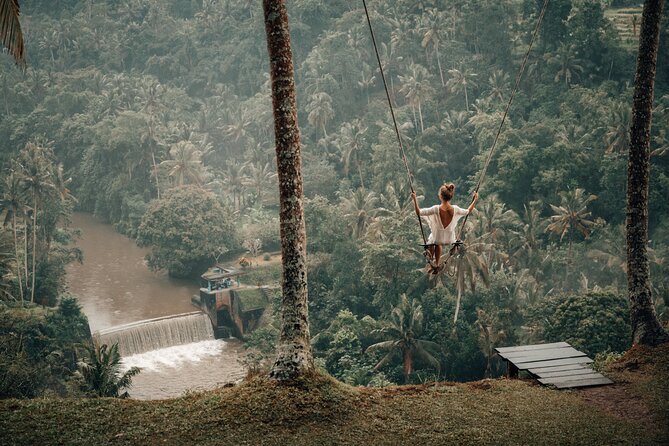 Private Customized Trip to Ubud - Aloha Ubud Swing and the biggest extra charge
