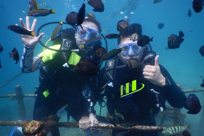 Private Diving Experience in Nusa Dua with Hotel Pick Up - What this Nusa Dua scuba outing is really like