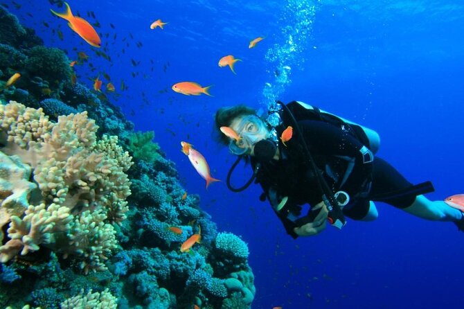 Private Diving Experience in Nusa Dua with Hotel Pick Up - Getting ready with the included equipment