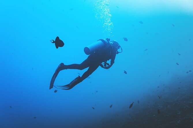Private Diving Experience in Nusa Dua with Hotel Pick Up - How much value do you get for $59?