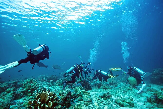 Private Diving Experience in Nusa Dua with Hotel Pick Up - The Nusa Dua marine area and the boat ride