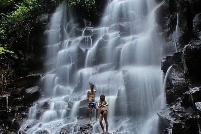 Private driver and tours - What a custom Ubud itinerary can look like
