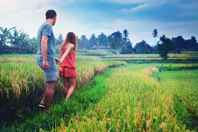 Private Experience: Bali Village Tour - Is $52 a fair price?