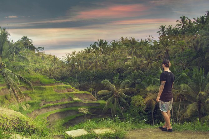 Private Full-Day Bali Tour - My Swing Bali for photos and easy fun