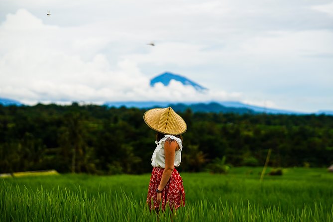 Private Full-Day Bali Tour - Tegenungan Waterfall for a change of pace