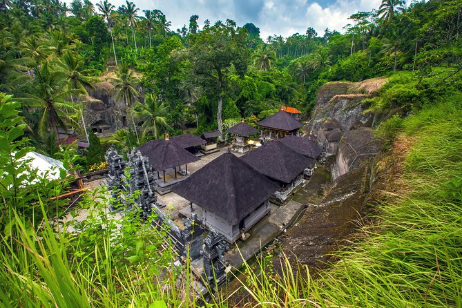 Private Full-Day Tour: Balinese Temples and Rice Terraces - Meeting the macaques at Ubud Monkey Forest