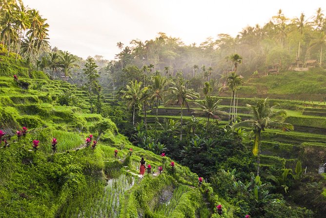 Private Full-Day Tour: Balinese Temples and Rice Terraces - Lunch above the jungle at D’Alas Warung