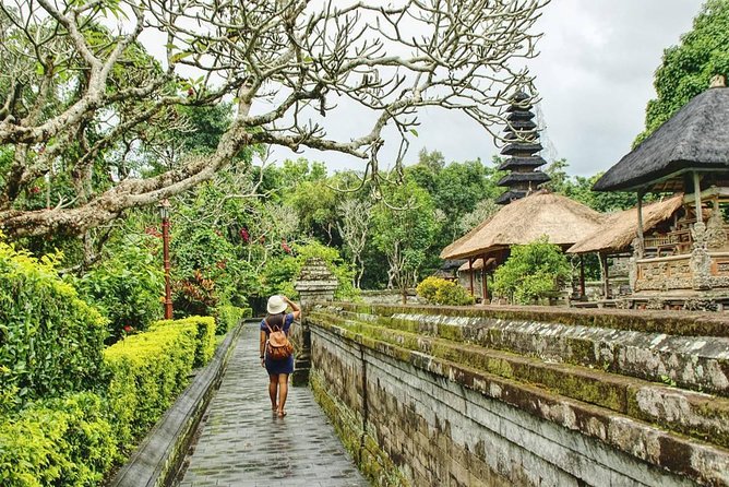 Private Full Day Tour: Best UNESCO Sites in Bali - Buffet lunch and a taste of luwet coffee