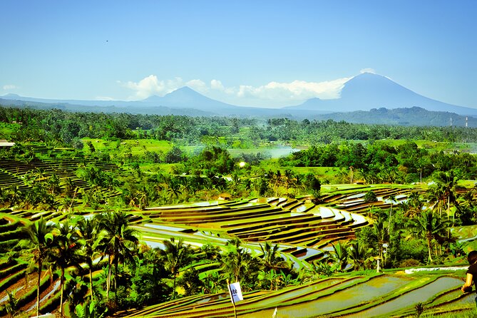 Private Full-Day Tour: Discover The Best of Bali Destination - What the private vehicle changes