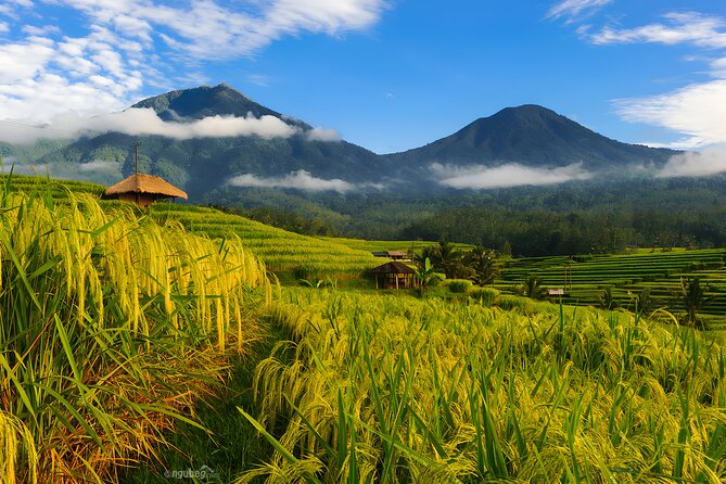 Private Full-Day Tour: Discover The Best of Bali Destination - Tamblingan and Buyan, Bali’s highland pause