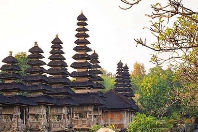 Private Full-Day Tour Jatiluwih Rice Terrace and Tanah Lot Temple - The private car is the real convenience