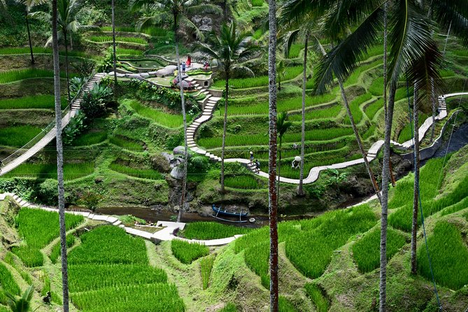 Private Full Day Tour to Ubud Highlights with Giant Swing - Tegalalang Rice Terrace, a short view of Bali’s farming country