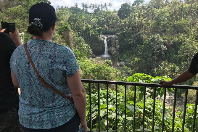 Private Full Day Tour to Ubud Highlights with Giant Swing - What the $73 price really covers