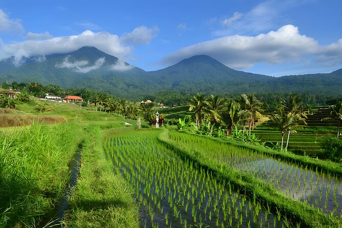 Private Full-Day Tour: Ulun Danu Beratan Temple, Jatiluwih and Tanah Lot Temple - Ulun Danu Beratan and the Bedugul highlands