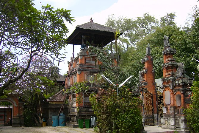 Private Half-Day Tour: Denpasar City Trip - What the private vehicle changes