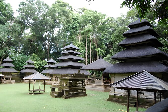 Private Half-Day Tour: Tanah Lot Sunset Tour - The driver-guide makes the difference