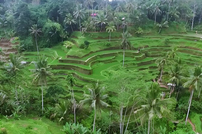 Private Half-Day Tour: The Best Ubud Half Day Trip Packages - A short look at Ubud Palace